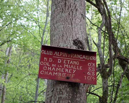 DSC01742 Le CAF rouge est passé par là