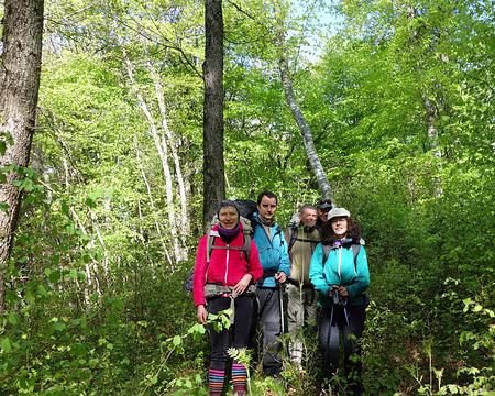 DSC01767 Ce matin c'est grand beau