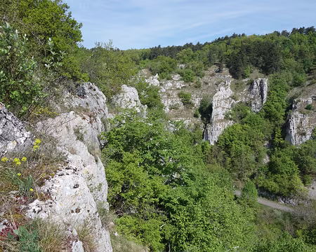 DSC01853 Il faut juste aller en face