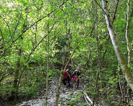 DSC01856 Donc une descente rapide...