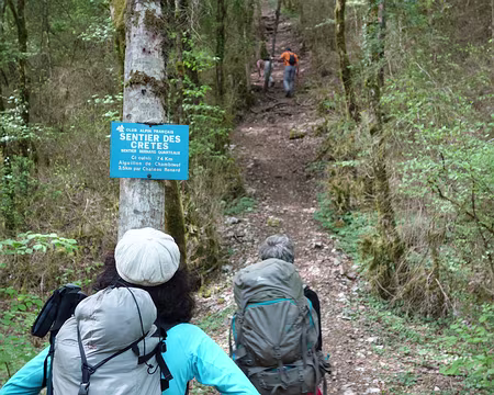 DSC01872 Cette fois nous sommes dans le domaine du CAF bleu