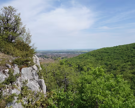 DSC01873 En effet le ciel est bien bleu