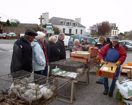 PXL002 Le marché aux volailles de Dol