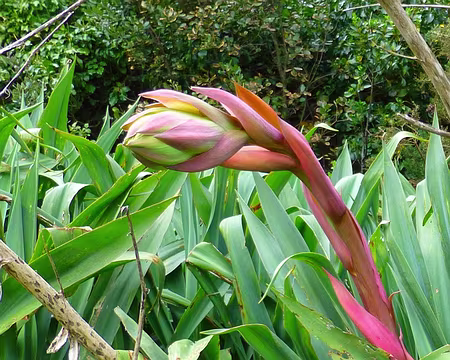 PXL030 T'es qui toi ?