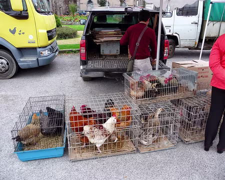 PXL001 Marché de Dol - Impensable dans un Paris écolo