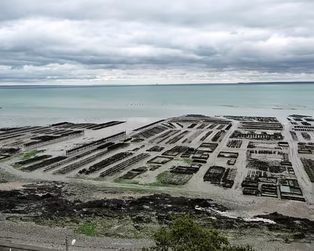 PXL016 Cancale - Parc à huitres