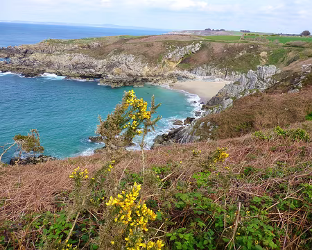 PXL016 Assez peu de fleurs finalement