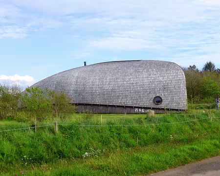 PXL017 Coucou la baleine !