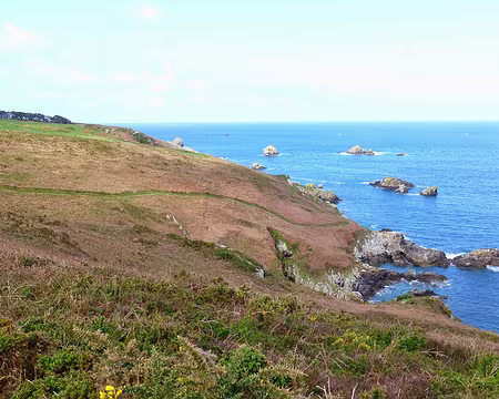 PXL023 Le chemin est surligné en vert
