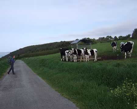 DSCF5706 Jeu 24/04 De Telgruc sur mer à Morgat