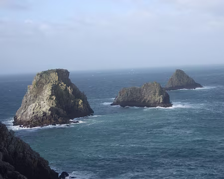 DSCF5760 Les Tas de Pois de la pointe de Pen Hir