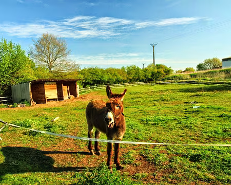 PXL029 Bourriquet nous alpague sévère !