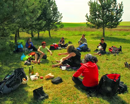 PXL038 Copieuse sieste !