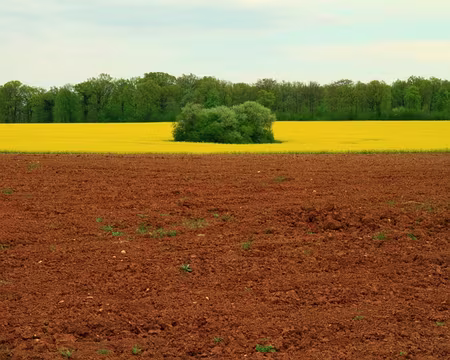 PXL042 Harmonie des contrastes.