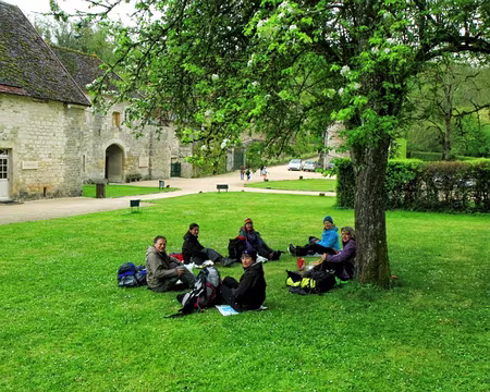PXL074 Dernier pique-nique royal au Chablis, sous un pommier de l'abbaye.