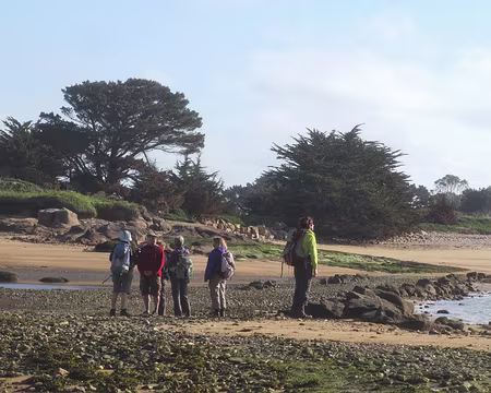 PXL008 sur l'île Callot