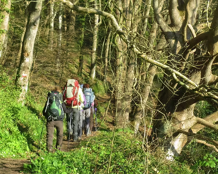 PXL083 l'anse du Guillec