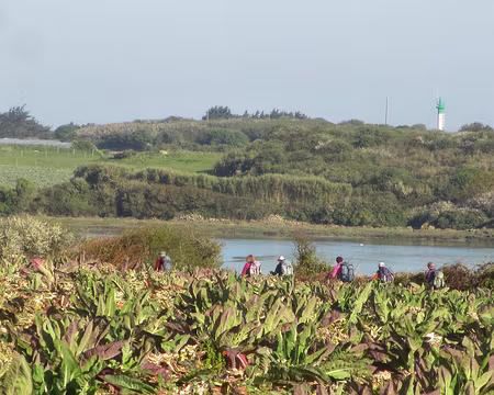 PXL089 randonneurs dans les choux