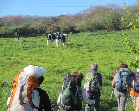 PXL091 curiosité réciproque