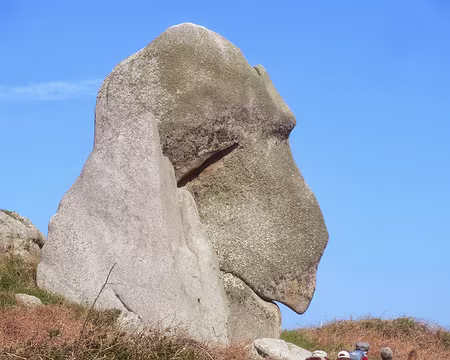 PXL095 tête de singe ?