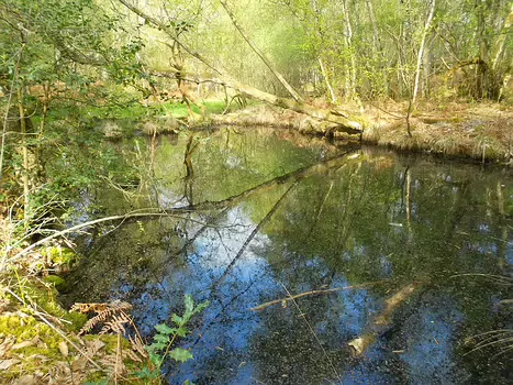 2014-04 Fontainebleau