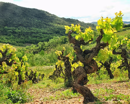 PXL105 Oeuvre d'art.