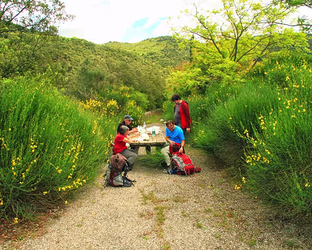 PXL108 déjeuner, des genêts.