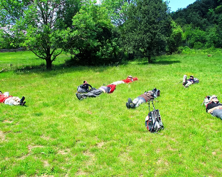 PXL111 Une hécatombe...