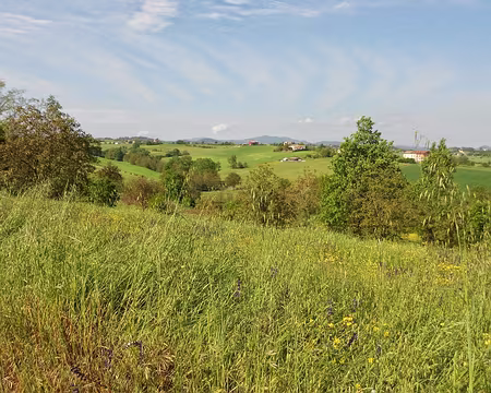 PXL014 Campagne d'Emilie-Romagne
