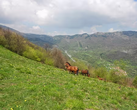 PXL058 Au fond, Passo della Cisa