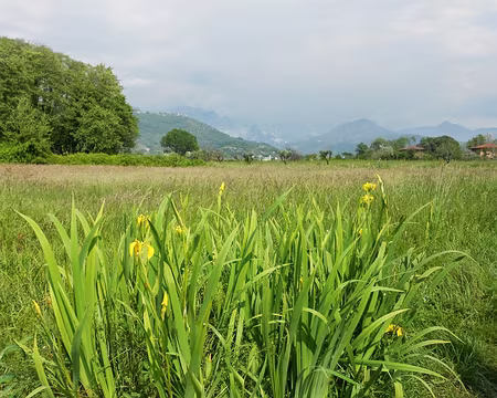PXL097 Au loin, les carrières de marbre de Carrare