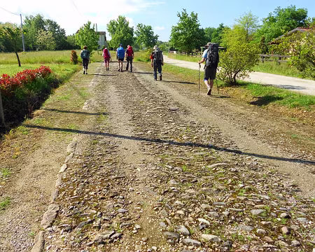 PXL153 ancienne voie de la Via Francigena