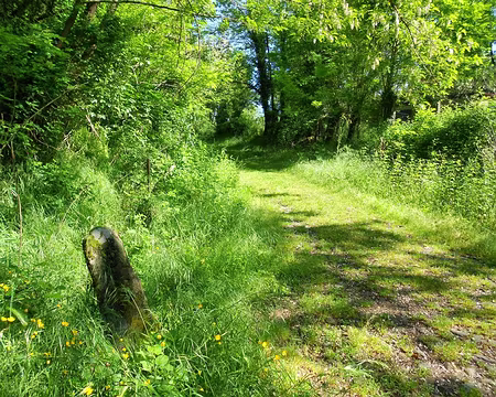 PXL154 Borne n° 13 de la Via Francigena à Galleno