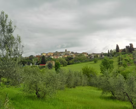 PXL172 Gambasi Terme