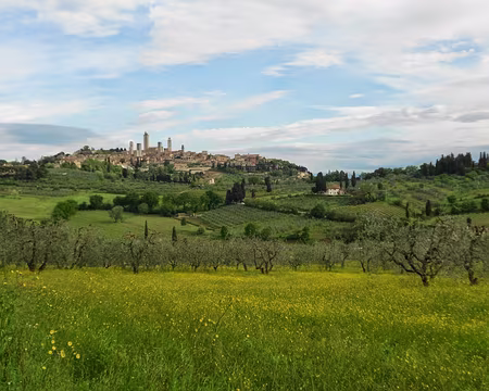 PXL190 J15 - San Gimignanon la ville des tours
