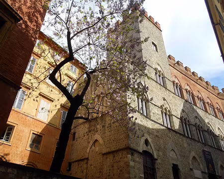 PXL213 Palais Chigi Saracini