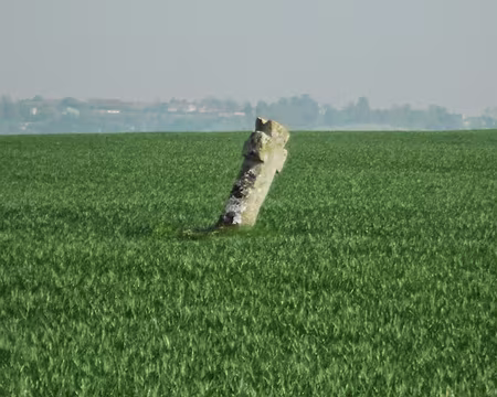 PXL009 Croix d'Orléans