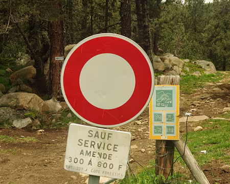 Garder le franc ? Finalement, peut-être pas une mauvaise idée ! Garder le franc ? Finalement, peut-être pas une mauvaise idée !