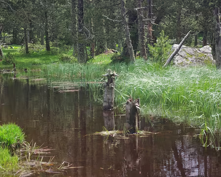 Profitons bien du rayon de soleil Profitons bien du rayon de soleil