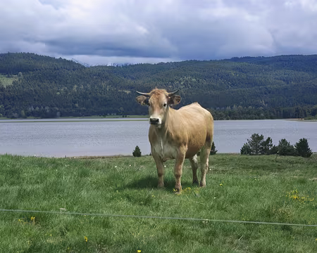 Scène champêtre Scène champêtre