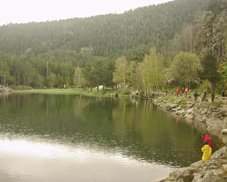 Au moins les poissons, eux, ils ne sont pas mouillés ! Au moins les poissons, eux, ils ne sont pas mouillés !