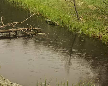 Il paraît que c’est la région la plus ensoleillée de France ! Il paraît que c’est la région la plus ensoleillée de France !