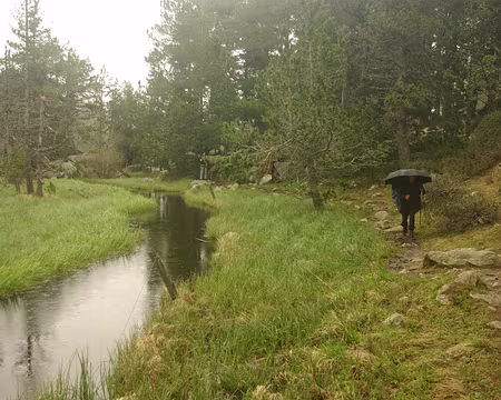 Le parapluie a servi ! Le parapluie a servi !