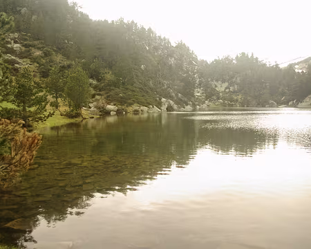 Profitons vite de la petite éclaircie pour pique-niquer Profitons vite de la petite éclaircie pour pique-niquer