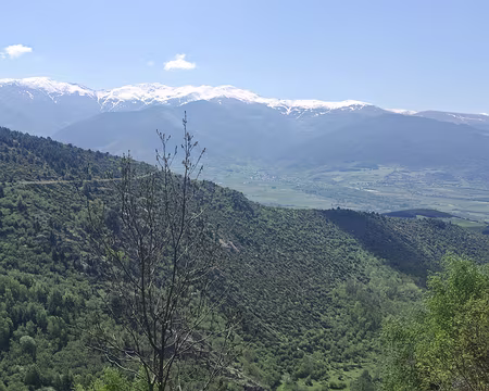 Paysage enneigé Paysage enneigé