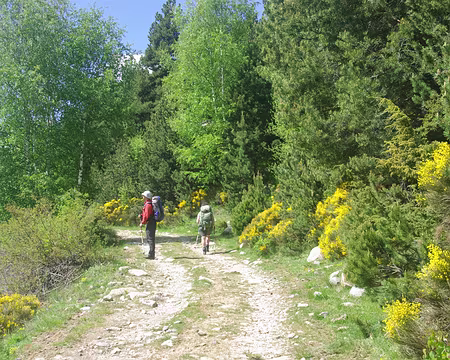 Sentier fleuri Sentier fleuri