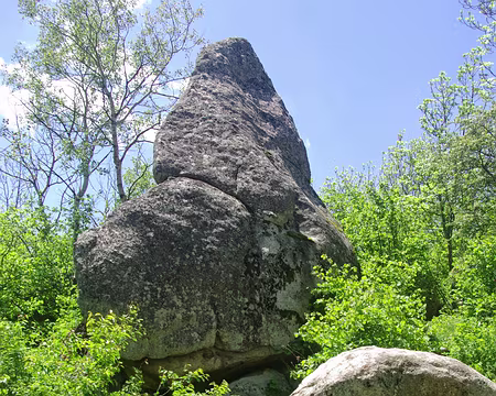 Après on a parlé des Dents de la Mer pendant une demi-heure ! Après on a parlé des Dents de la Mer pendant une demi-heure !