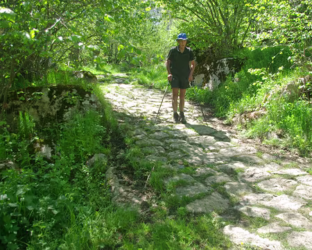 Près de Dorres, vraisemblablement une voie romaine Près de Dorres, vraisemblablement une voie romaine