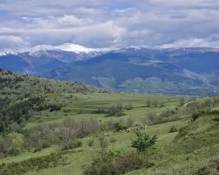 La tour de Carol c’est en bas La tour de Carol c’est en bas