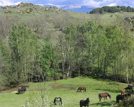 Paysage champêtre Paysage champêtre